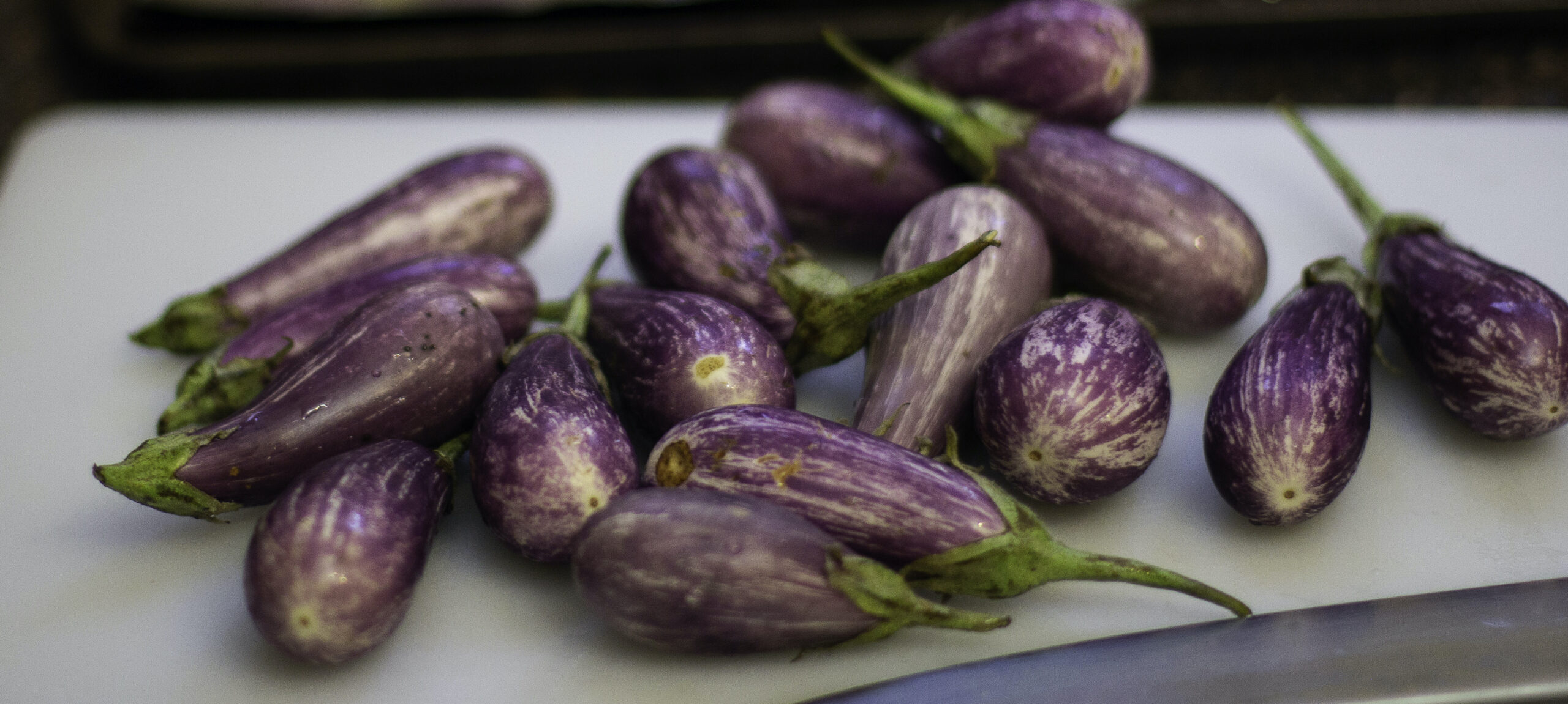 Are Aubergine and Eggplant the Same Thing? - The Cookful